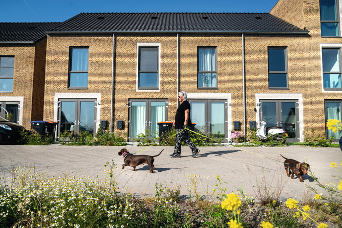 Een vrouw die twee honden uitlaat