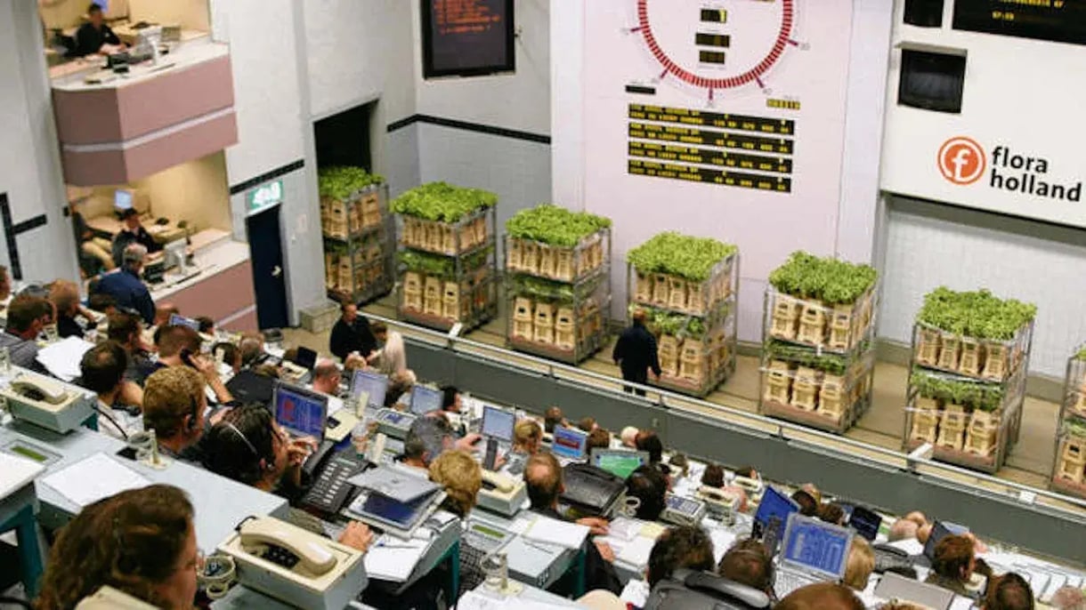 Bloemenveiling met medewerkers aan de telefoon 