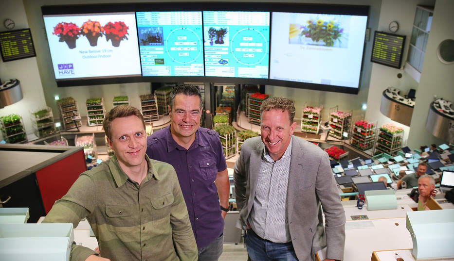Drie lachende mannen op de bloemenveiling in Aalsmeer.