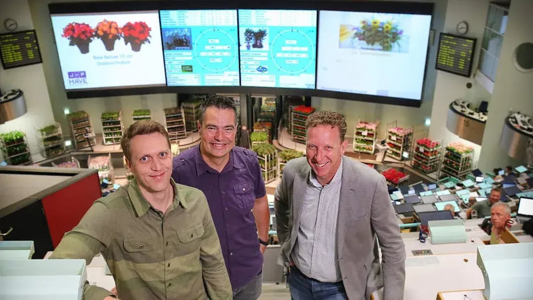 Three men of Royal FloraHolland smiling in the flower auction
