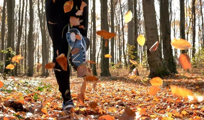 1625037903-over-ons-conclusion