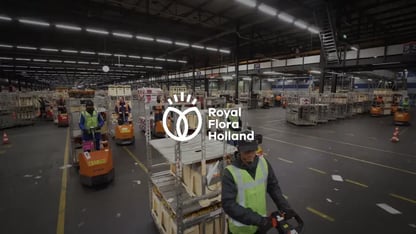 Magazijn Royal Flora Holland
