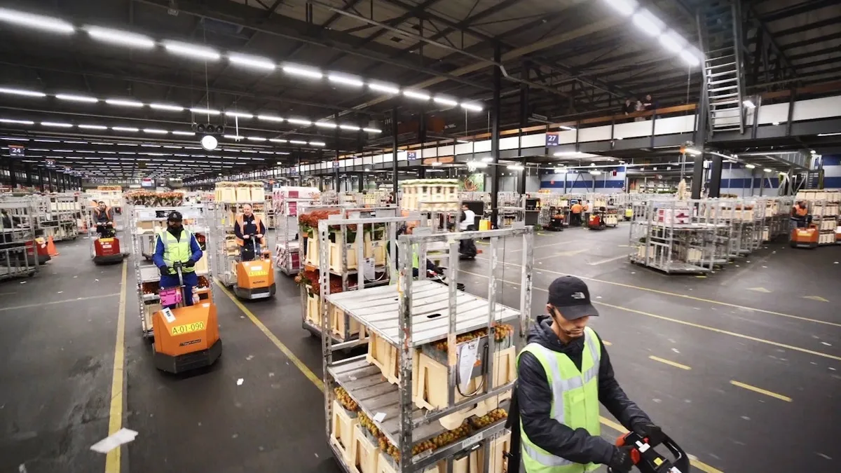 1639392940-mission-critical-rfh-veiling