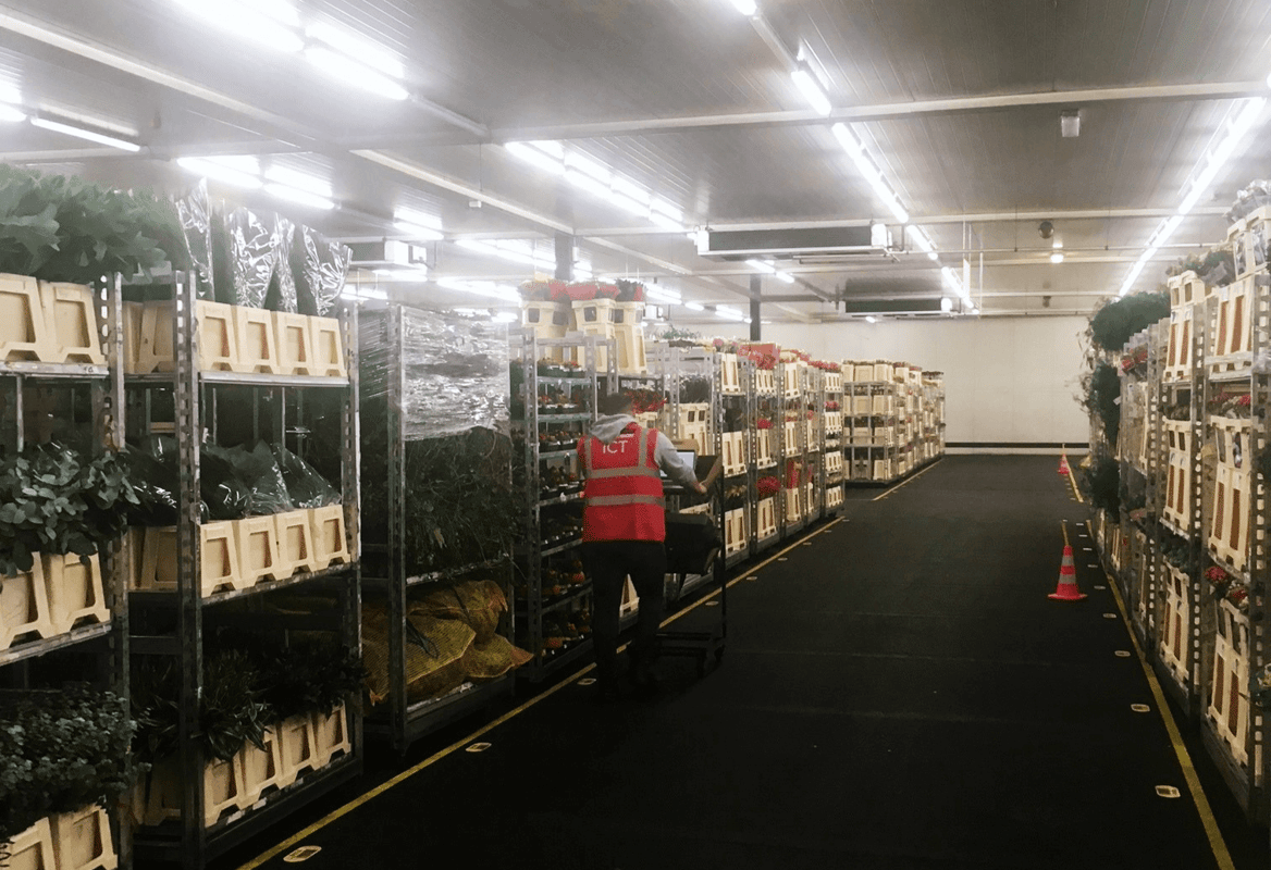 Persoon loopt met een karretje door warenhuis met planten.