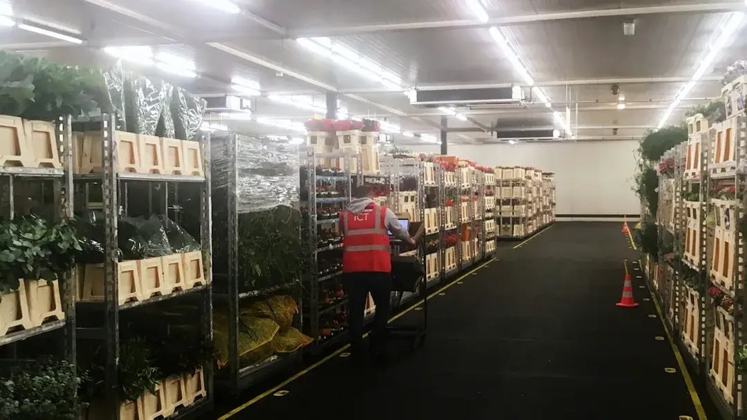 1639392995-mission-critical-rfh-wifi-eelde-edited