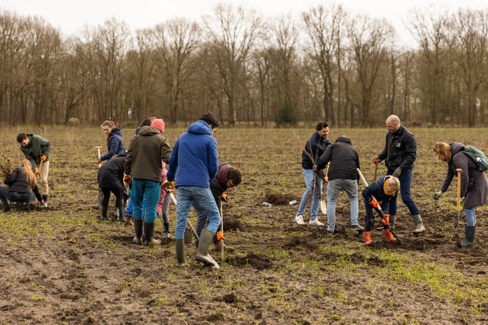 Group of men digging in a forest landscape