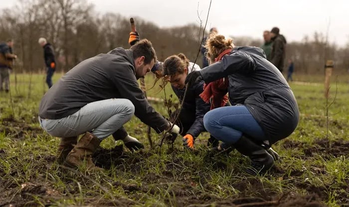 Drie geknielde mensen die een boom planten