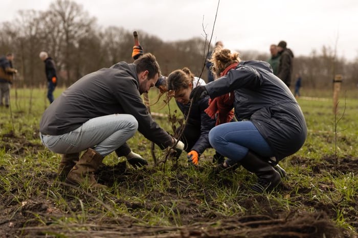 mensen planten een boom