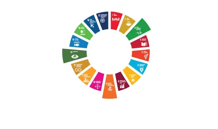 weergave Sustainable Development Goals