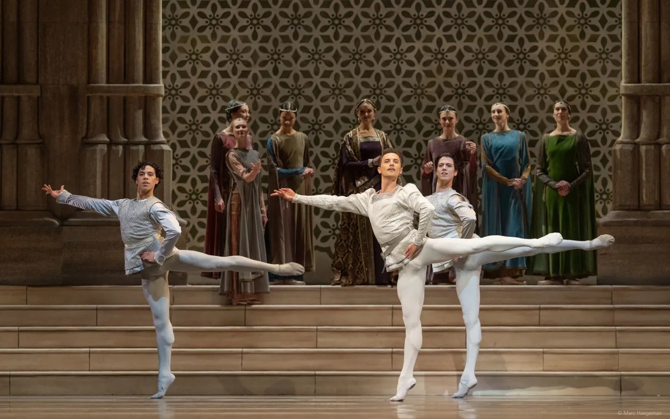 Fresh Opera New website | National Opera & Ballet with fresh perspective