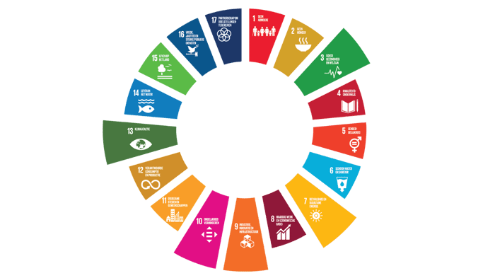 Afbeelding donutvorm met categrorieen