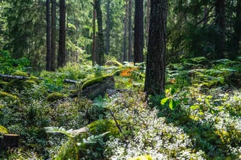 Conclusion Cares duurzaamheidsverslag 2023