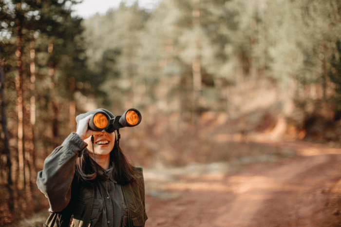 1716360055-targets-edited