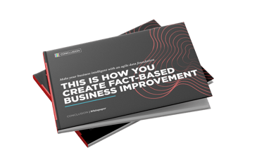 1734443047-whitepaper-business-improvement-mockup-en