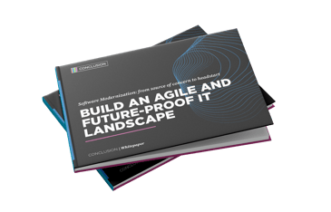 1747123669-whitepaper-softwaremodernisering-mockup-en