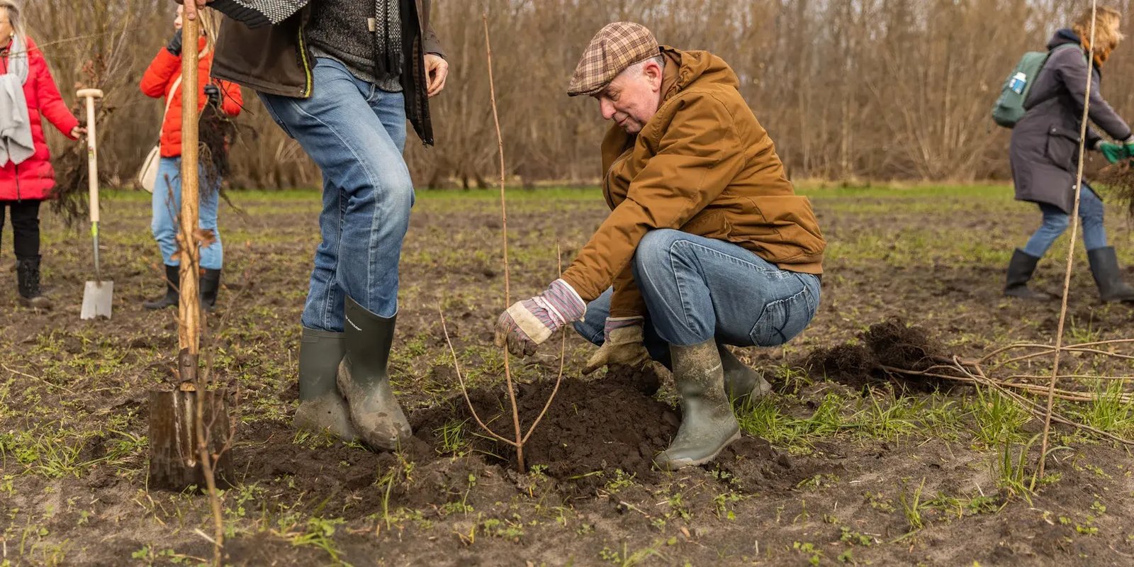 Conclusion Impact Bos