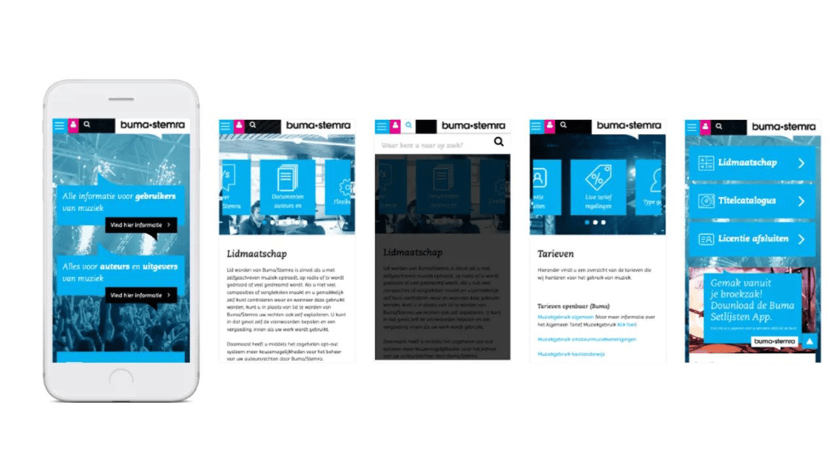 Screenshots website of Buma