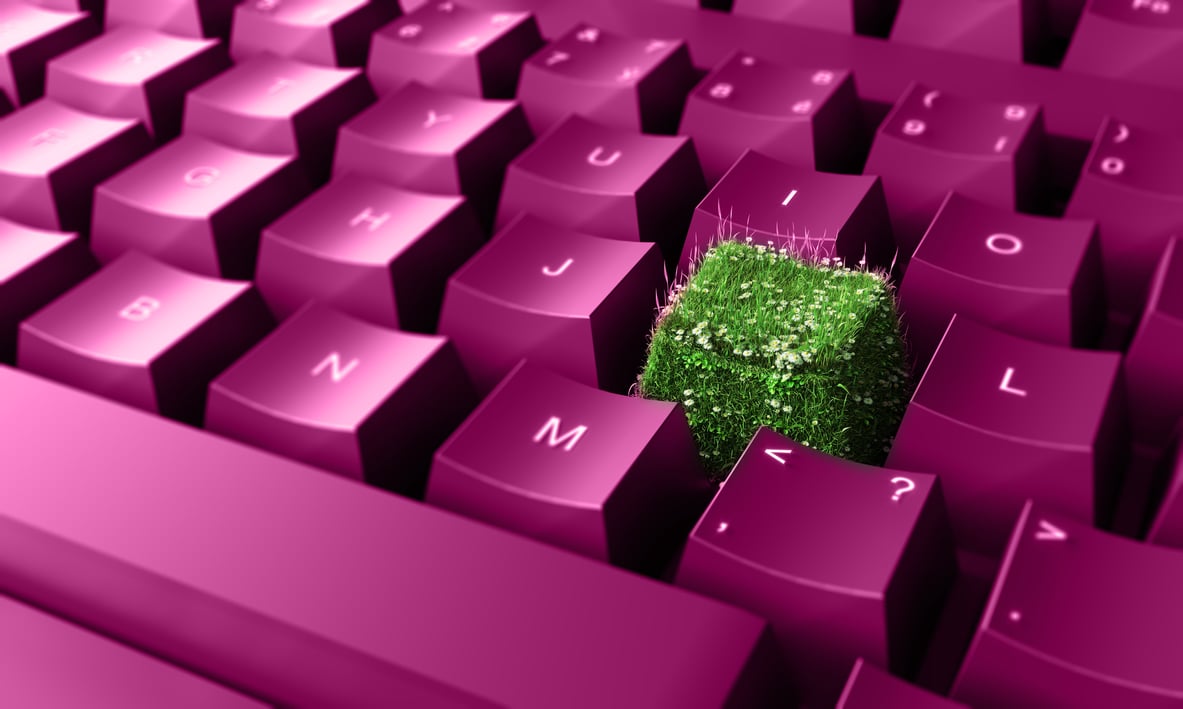 Sustainable IT Footprint