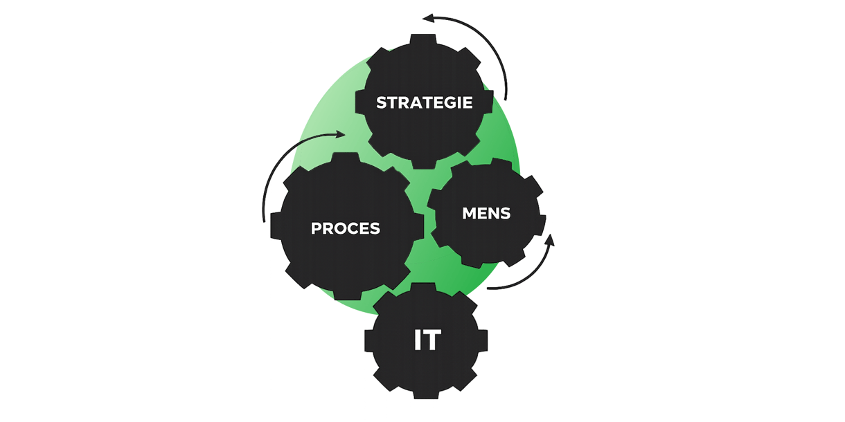 strategie proces mens it-2