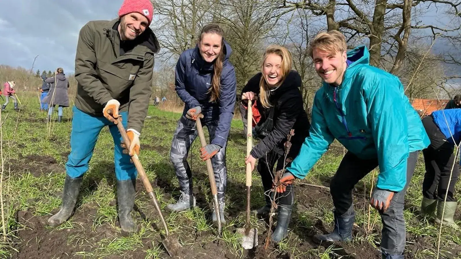 Conclusion Consulting plant mee aan het Conclusion impact bos