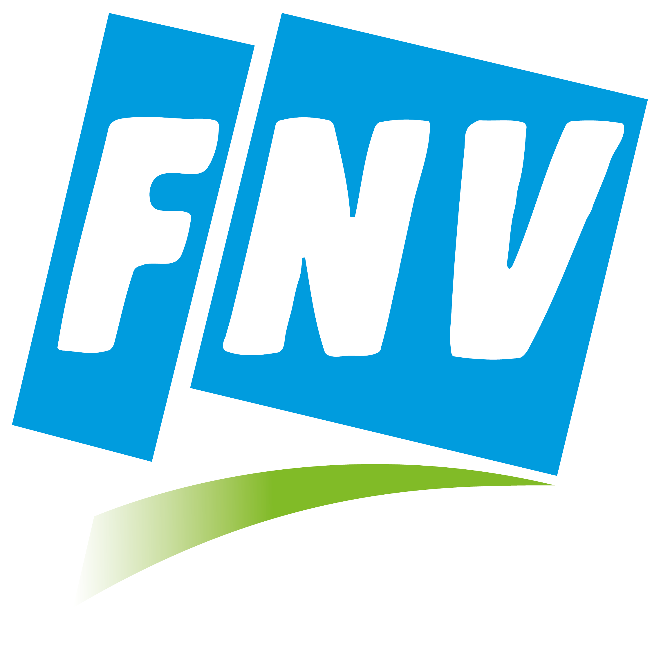 FNV logo