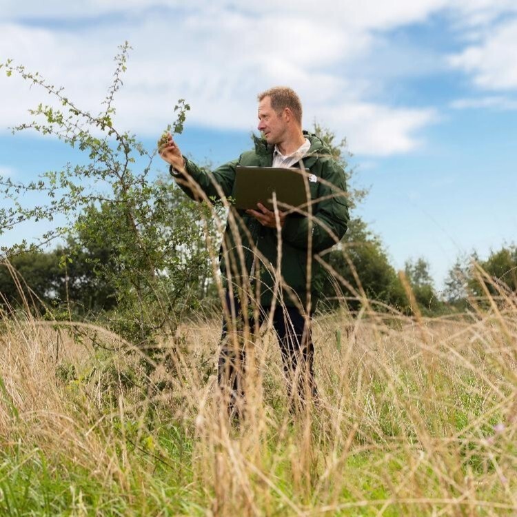 Afbeelding impactbos