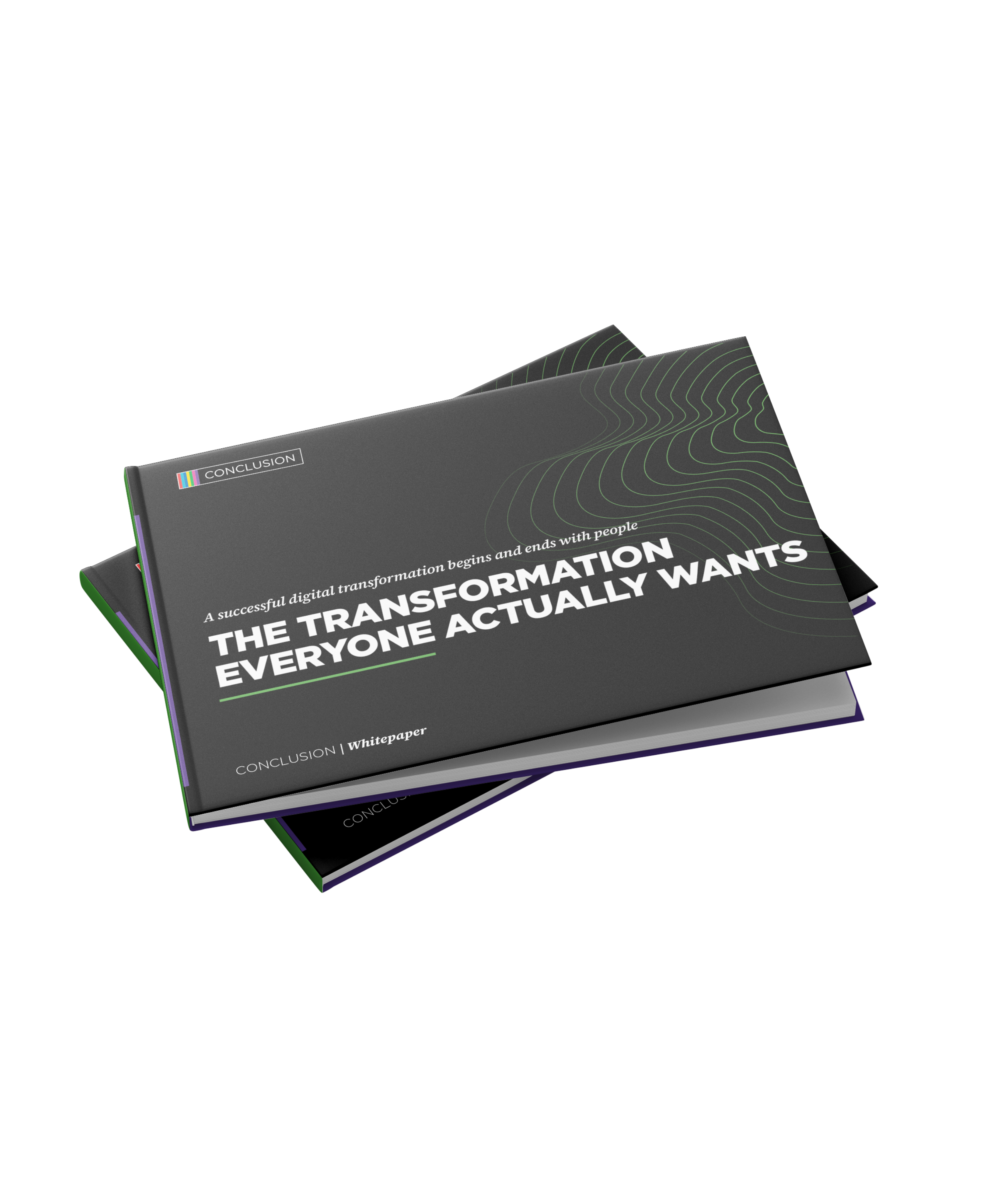 Book Mockup whitepaper business consultancy EN