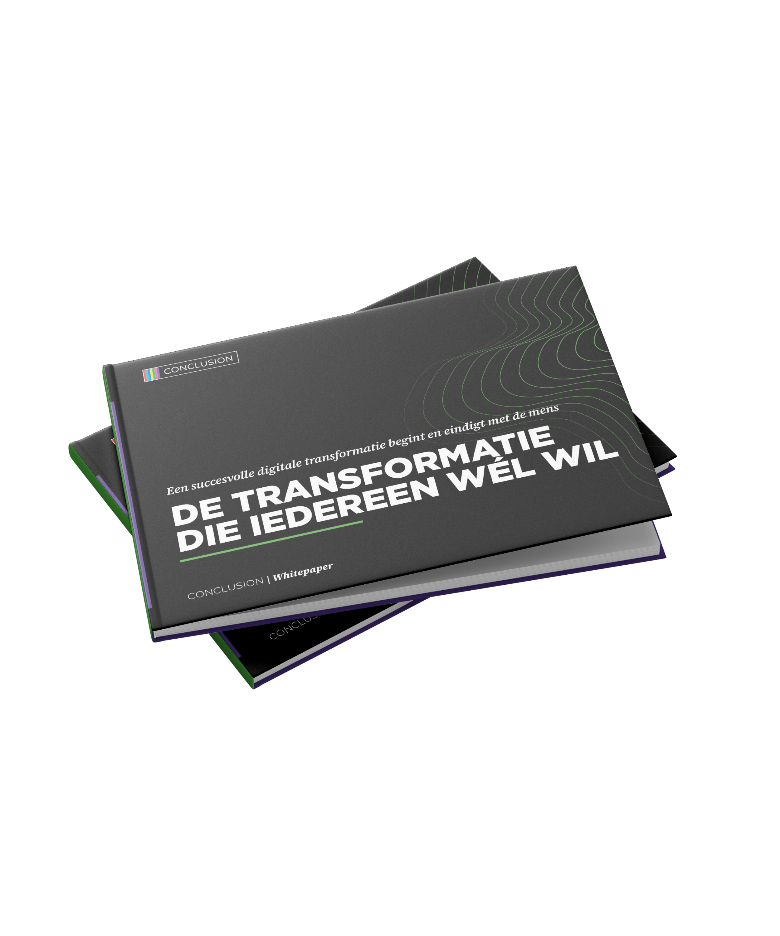 Book Mockup whitepaper business consultancy