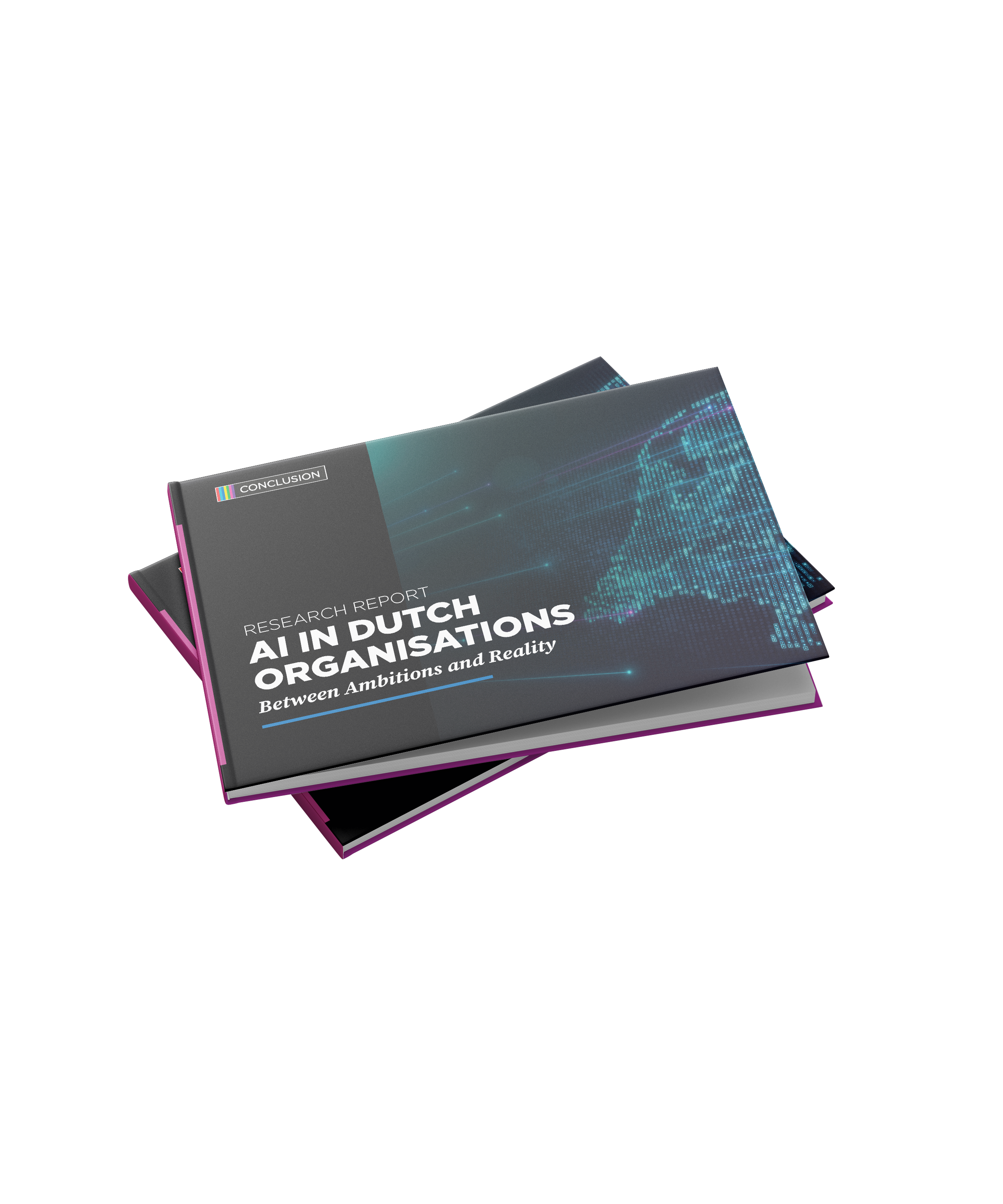 Whitepaper-nederlandse-organisaties-EN