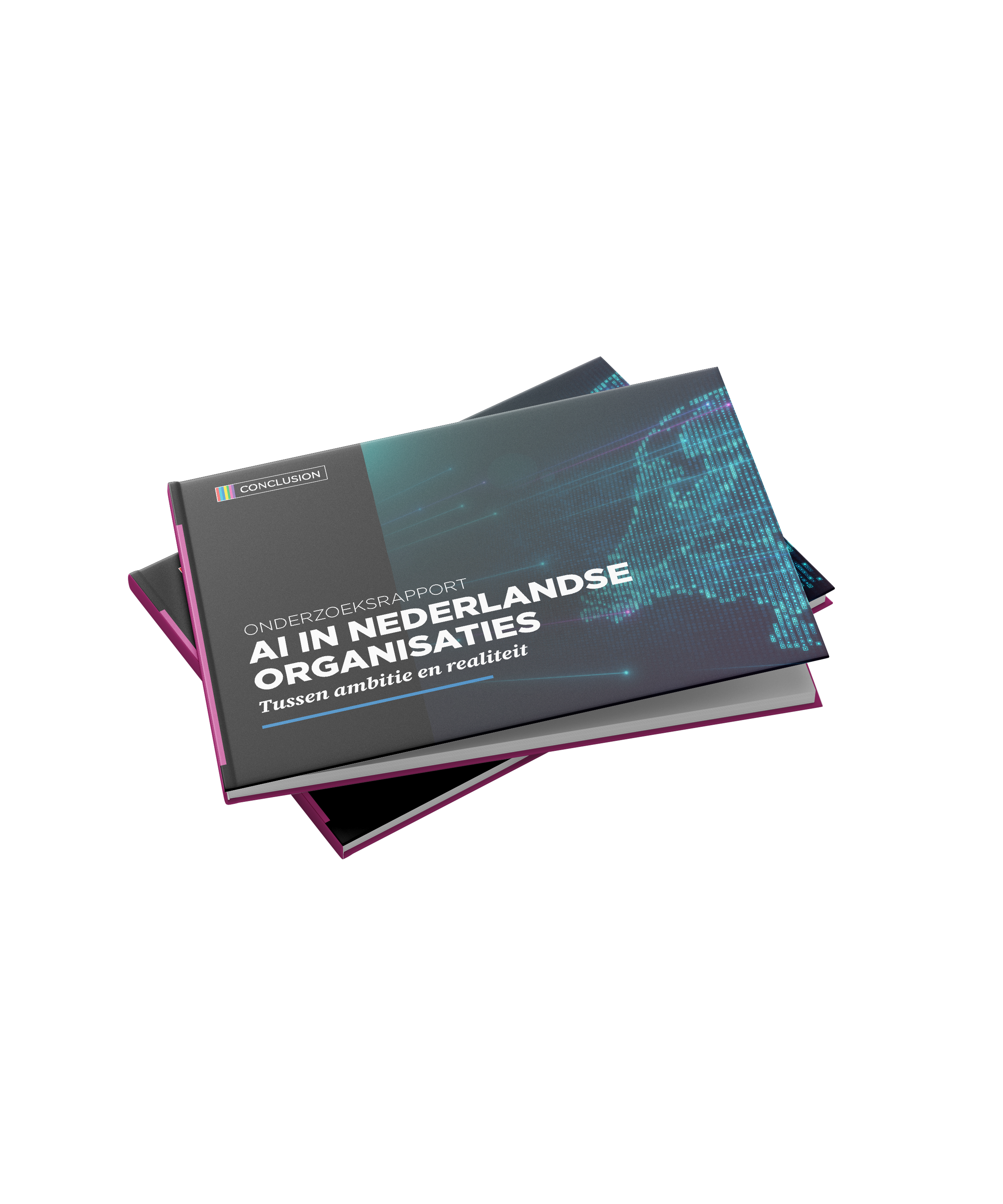 Whitepaper-nederlandse-organisaties-NL