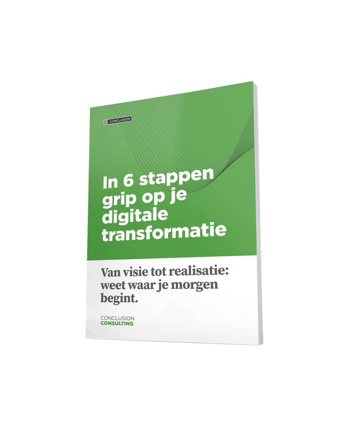 TWO vertical mockup next to form