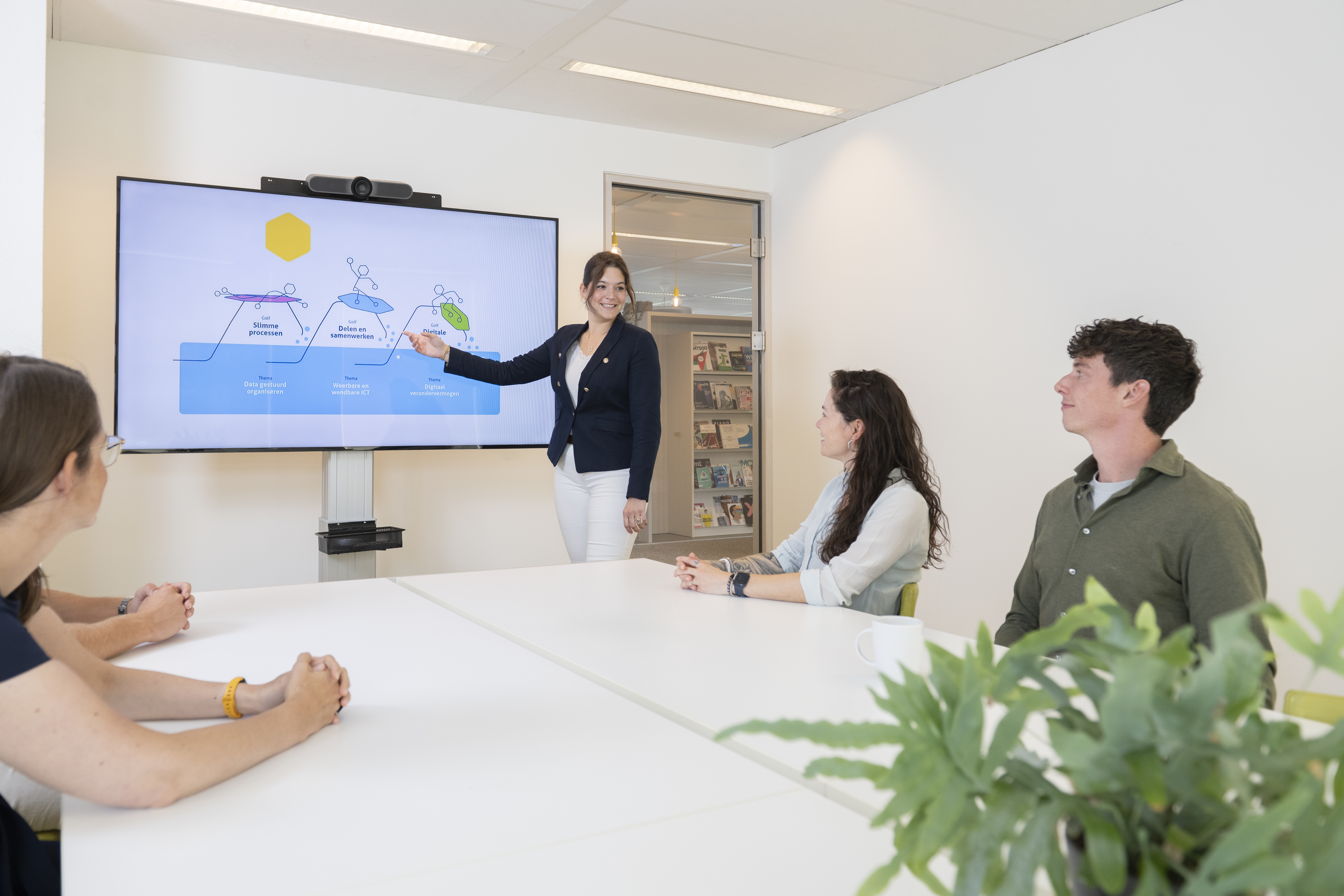 dna_pien_presentatie